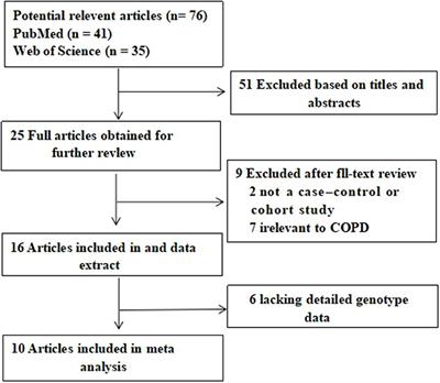 Different Associations Between the IREB2 Variants and Chronic Obstructive Pulmonary Disease Susceptibility